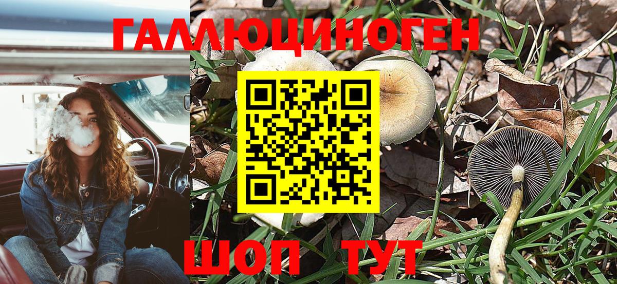 Псилоцибиновые грибы мухоморы  наркотики  Каменск-Шахтинский  Вход с VPN 