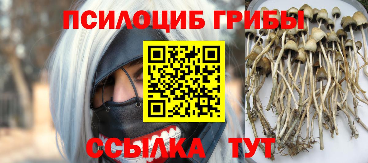 Галлюциногенные грибы Cubensis Каменск-Шахтинский